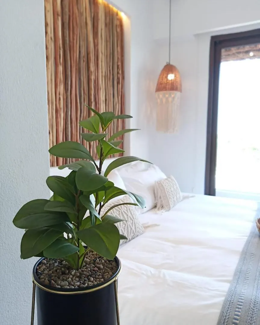 Apartment Studio 5Th Ave Ocean View W Rooftop Pool Blanko Living Playa del Carmen Mexico