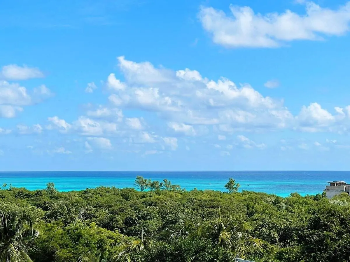 Apartment Studio 5Th Ave Ocean View W Rooftop Pool Blanko Living Playa del Carmen