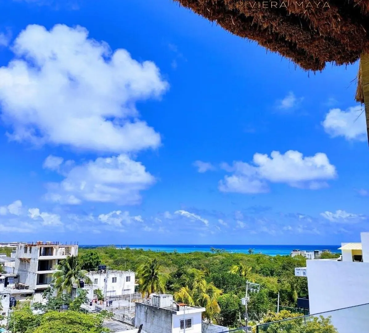 Apartment Studio 5Th Ave Ocean View W Rooftop Pool Blanko Living Playa del Carmen